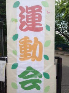 image1_4.JPG