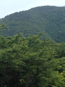 image1_6.JPG