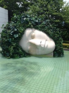 image2.JPG